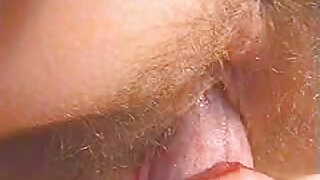 Sexy xex gia trong hình, trong tình